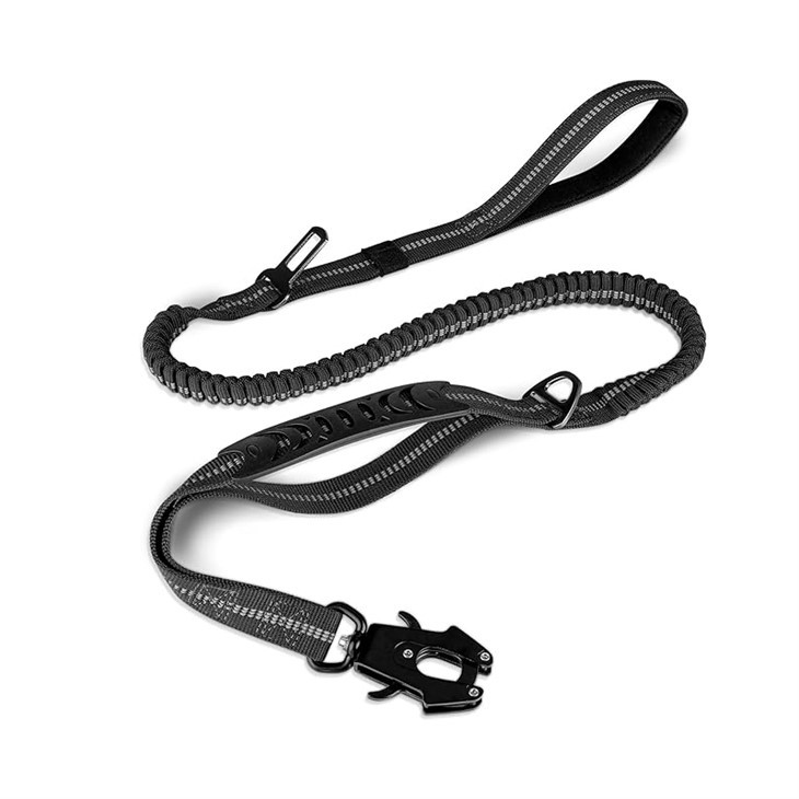Dual Handle Dog Leash