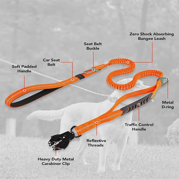 Dual Handle Dog Leash