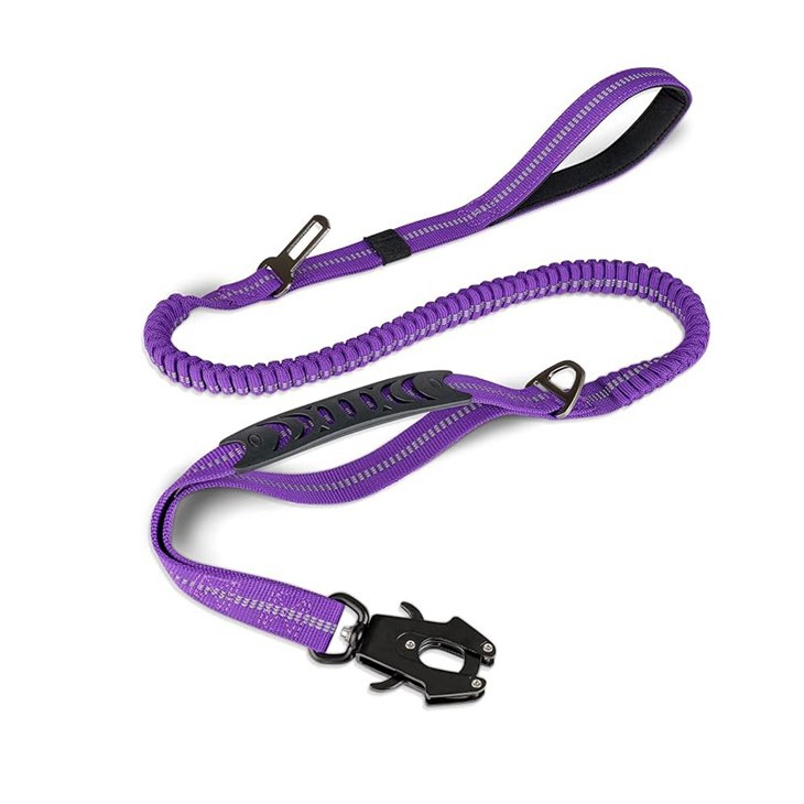 Dual Handle Dog Leash