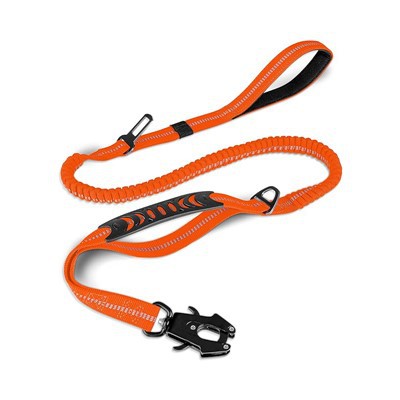 Lesă pentru câini cu două mânere