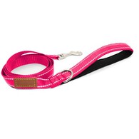 Frumoasă lesă de câine