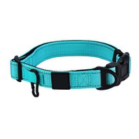 Guler de câine purpuriu