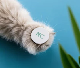 Care este semnificația ID-ului pentru animale de companie?