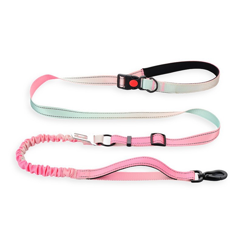 Elastic Dog Leash best