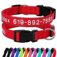 Guler personalizat pentru câini, brodat